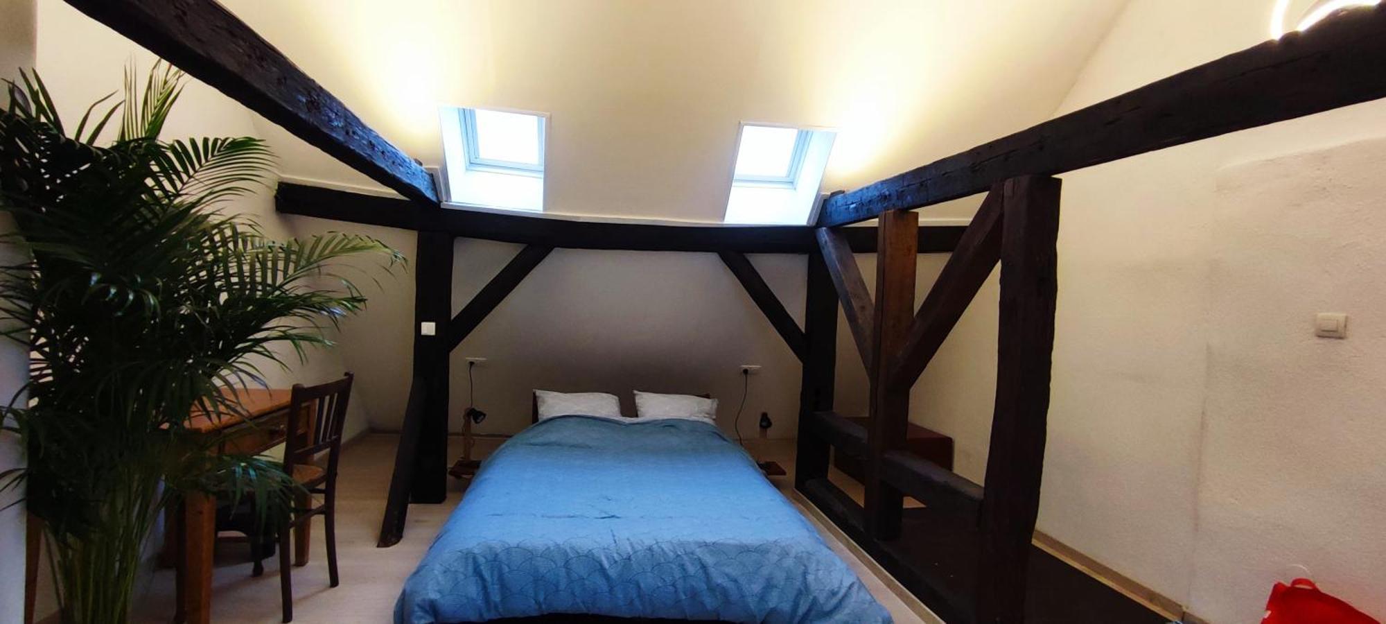Haven Apartment สตราสบูร์ก ภายนอก รูปภาพ